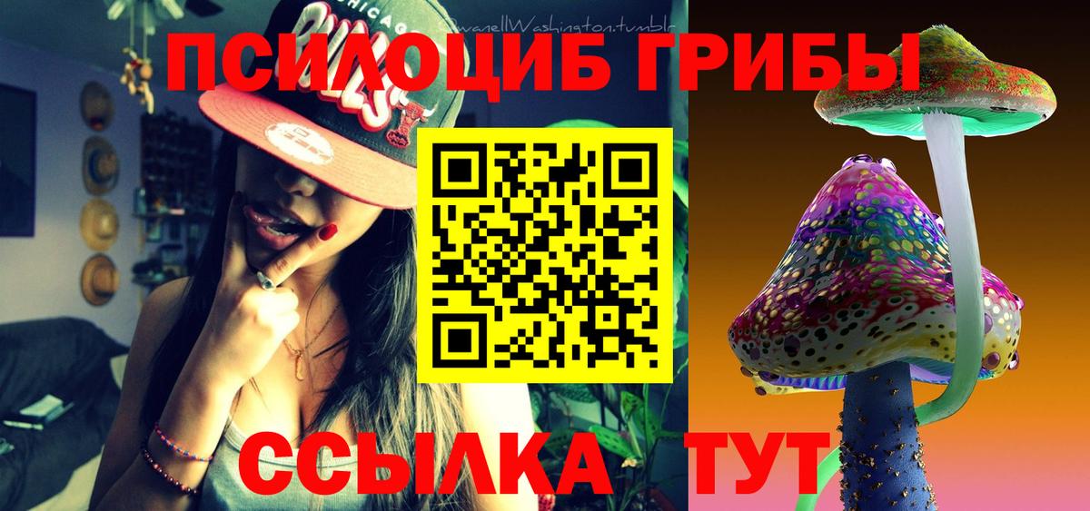 Нижнеудинск  Псилоцибиновые грибы Psilocybe  Вход с VPN  Псилоцибиновые грибы MAGIC MUSHROOMS 