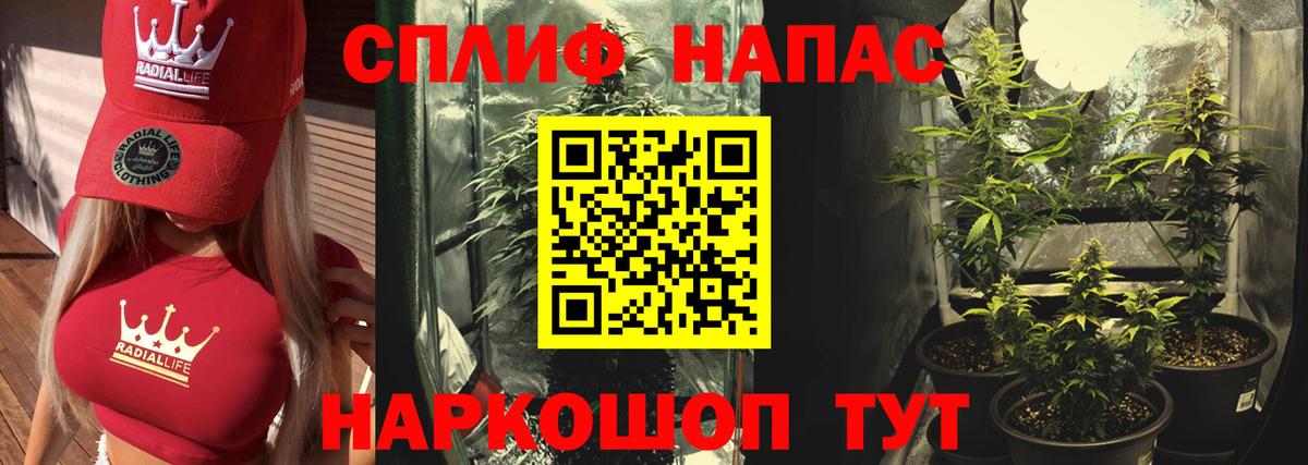 Бошки марихуана OG Kush Нижнеудинск